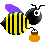 :bee