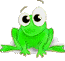 :frog